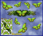ST021GR-3-open-jas-graphic-butterfly-design-pack-green-JAS-Stickers