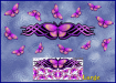 ST021PK-4-open-jas-graphic-butterfly-design-pack-green-JAS-Stickers
