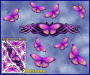 ST021PK-3-open-jas-graphic-butterfly-design-pack-green-JAS-Stickers