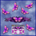 ST021PK-1-open-jas-graphic-butterfly-design-pack-green-JAS-Stickers