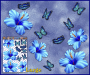 ST023BL-3-open-jas-hibiscus-flowers-butterflies-blue-JAS-Stickers