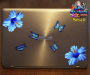 ST023BL-1-laptop-jas-hibiscus-flowers-butterflies-blue-JAS-Stickers