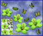 ST023GR-3-open-jas-hibiscus-flowers-butterflies-green-JAS-Stickers