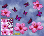 ST023PK-3-open-jas-hibiscus-flowers-butterflies-pink-JAS-Stickers