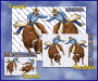 ST00003-134-packaged-jas-bull-rider-rodeo-JAS-Stickers