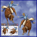 ST003-1-open-jas-bull-rider-rodeo-JAS-Stickers