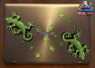 ST032GR-3-laptop-jas-gecko-lizard-foot-prints-pack-twin-pack-green-JAS-Stickers