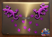 ST032PK-3-laptop-jas-gecko-lizard-foot-prints-pack-twin-pack-pink-JAS-Stickers