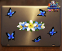 ST046BL-1-laptop-white-frangipani-plumeria-flowers-centre-butterflies-blue-white-JAS-Stickers