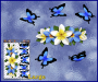 ST046BL-3-open-jas-frangipani-plumeria-flowers-centre-butterflies-blue-white-JAS-Stickers