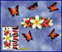 ST046RD-3-open-jas-frangipani-plumeria-flowers-centre-butterflies-red-white-JAS-Stickers