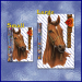 ST052BR-13-sizes-jas-thoroughbred-horse-portrait-aquine-brown-JAS-Stickers