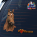 ST052BR-1-car-jas-thoroughbred-horse-portrait-aquine-brown-JAS-Stickers