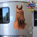 ST053BR-5-float-jas-thoroughbred-race-horse-pure-bred-equine-twin-pack-brown-JAS-Stickers