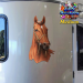 ST053BR-4-float-jas-thoroughbred-race-horse-pure-bred-equine-twin-pack-brown-JAS-Stickers