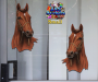 ST053BR-3-glass-jas-thoroughbred-race-horse-pure-bred-equine-twin-pack-brown-JAS-Stickers