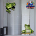 ST058-1-glass-jas-green-tree-frogs-australian-native-animal-JAS-Stickers