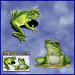 ST058-1-open-jas-green-tree-frogs-australian-native-animal-JAS-Stickers