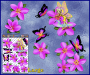 ST062PK-3-open-jas-fairy-magic-frangipani-plumeria-butterfly-pink-JAS-Stickers