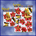 ST062RD-13-packaged-jas-fairy-magic-frangipani-plumeria-butterfly-red-JAS-Stickers