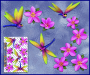 ST064PK-3-open-jas-dragonfly-frangipani-plumeria-flower-pack-pink-JAS-Stickers