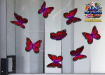 ST028RD-3-glass-jas-wanderer-butterfly-pack-red-JAS-Stickers