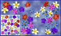 ST074MC-5-open-jas-frangipani-plumeria-flowers-d2-coloured-JAS-Stickers