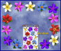 ST074MC-3-open-jas-frangipani-plumeria-flowers-d2-coloured-JAS-Stickers
