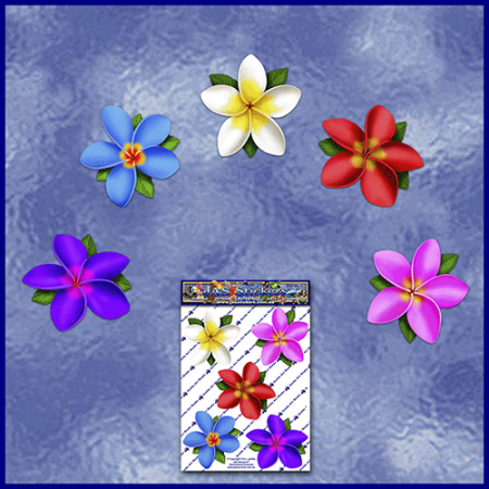 ST074MC-1-open-jas-frangipani-plumeria-flowers-d2-coloured-JAS-Stickers
