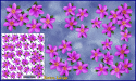 ST074PK-5-open-jas-frangipani-plumeria-flowers-d2-pink-JAS-Stickers