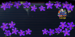 ST074PL-4-car-jas-frangipani-plumeria-flowers-d2-purple-JAS-Stickers