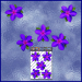 ST074PL-1-open-jas-frangipani-plumeria-flowers-d2-purple-JAS-Stickers