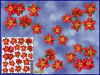 ST074RD-4-open-jas-frangipani-plumeria-flowers-d2-red-JAS-Stickers