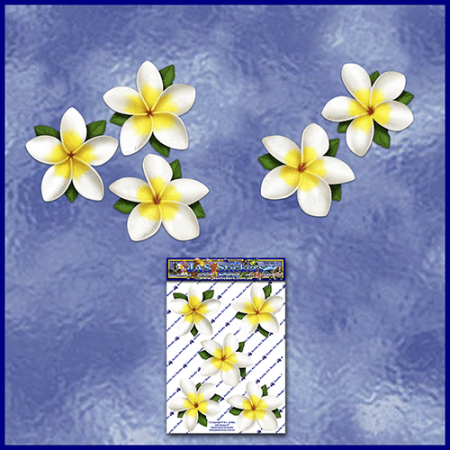 white frangipani plumeria flowers stickers decals for women-JAS-Stickers