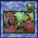 TM004-A3-jas-main-rainbows-and-reds-australian-native-parakeet-table-mat-jantke-art-studio