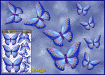 ST025BL-3-open-jas-butterflies-design1-graphic-pack-blue-JAS-Stickers