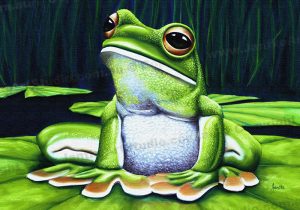 PRC004-main-jas-green-tree-frog-australian-native-sitting-jantke-art-studio-print