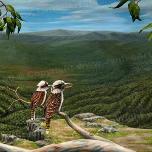 PRC005-main-jas-kookaburra-tamborine-queensland-australian-native-bird-jantke-art-print
