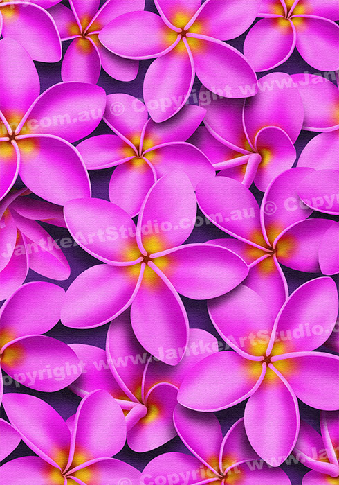 PRC023PK-main-jas-flowers-frangipani-plumeria-madness-pink-jantke-art-print