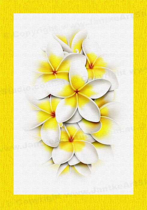PRC024WT-main-jas-flower-frangipani-plumeria-bouquet-white-jantke-art-print
