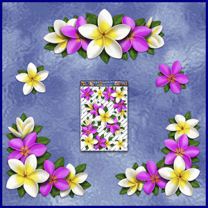 ST045PK-3-open-jas-flowers-frangipani-plumeria-floral-corners-pink-white-JAS-Stickers