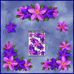 ST045PP-3-open-jas-flowers-frangipani-plumeria-floral-corners-pink-purple-JAS-Stickers