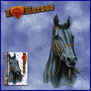 ST052BK-1-open-jas-thoroughbred-horse-portrait-aquine-black-JAS-Stickers