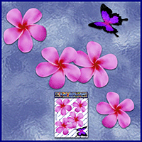 https://jasservices.com.au/product/st024pk-frangipani-butterfly-pink/
