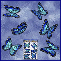 https://jasservices.com.au/product/st028bl-butterfly-wanderer-blue/