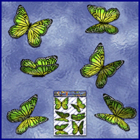 https://jasservices.com.au/product/st028gr-butterfly-wanderer-green/