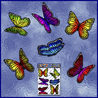 https://jasservices.com.au/product/st028mc-butterfly-wanderer-coloured/