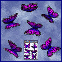 https://jasservices.com.au/product/st028pk-butterfly-wanderer-pack-pink/