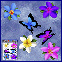 https://jasservices.com.au/product/st041mc-frangipani-butterfly-colour/