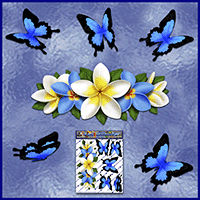 https://jasservices.com.au/product/st046bl-frangipani-centre-butterfly-blue/